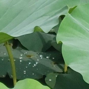 正能量正能量人最大的困难是认识自己，最容易的也是认识自己。很多时候，我们认不清