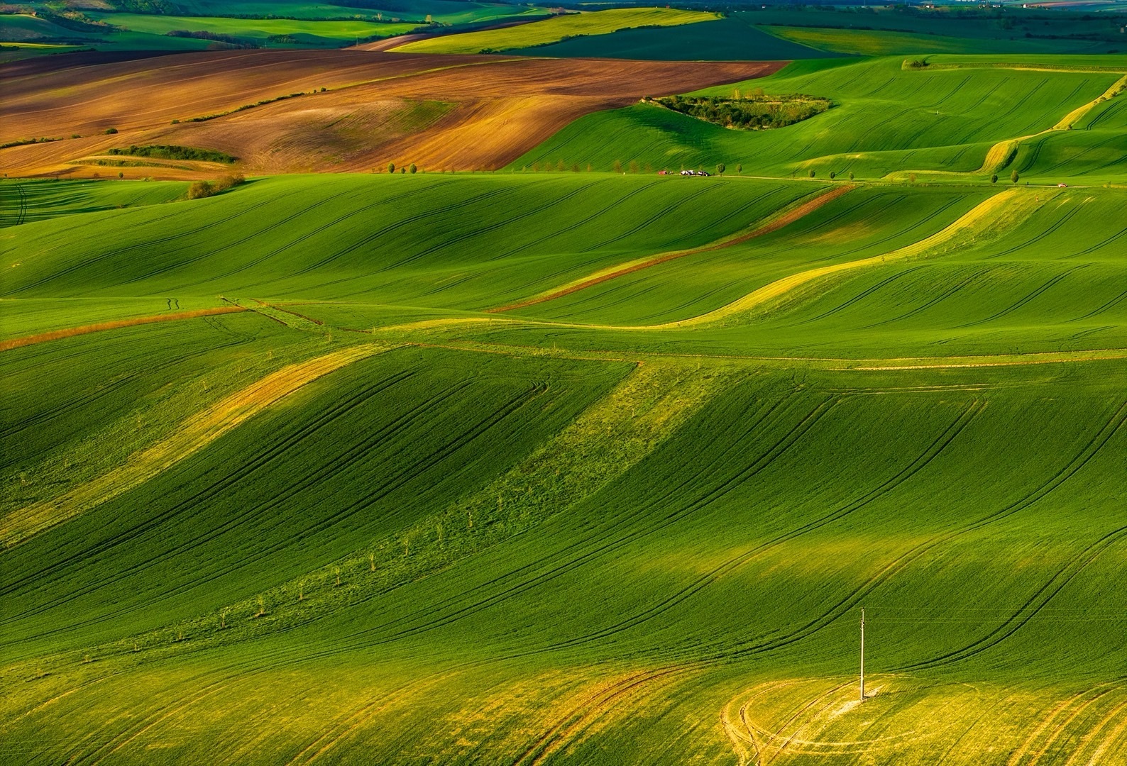 下个月中旬，再出发东欧+中欧。这次的装备如下：哈苏X2DII+20-35