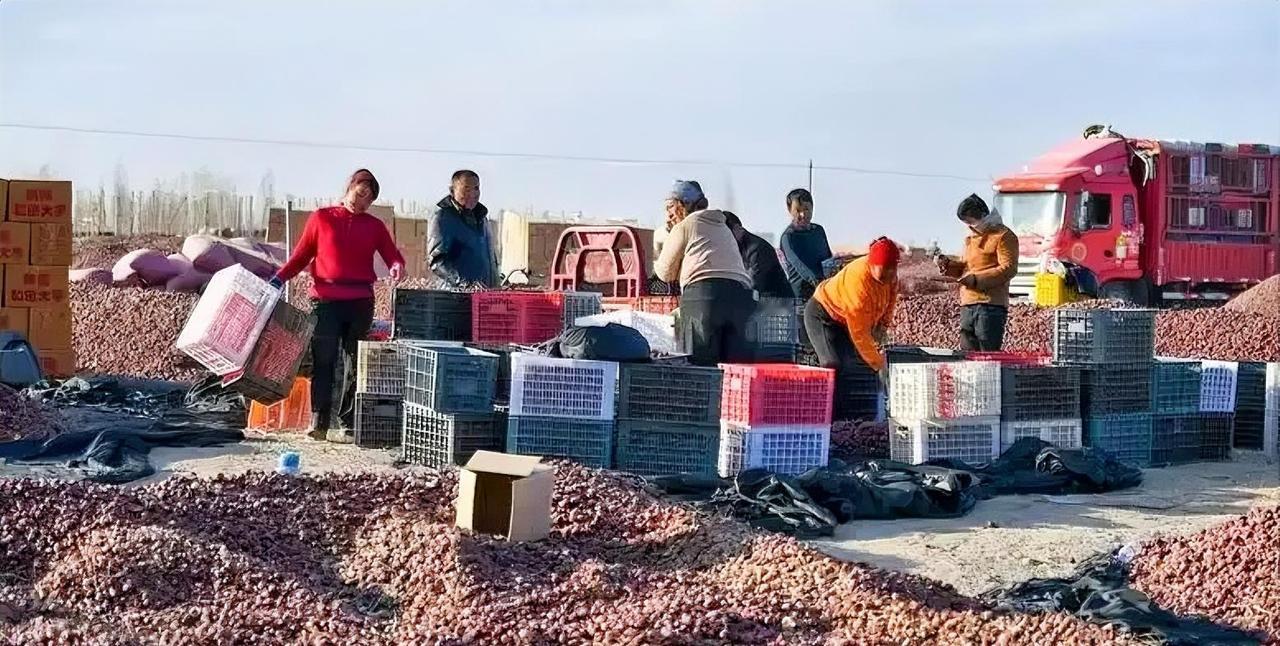 中国有后备耕地两亿亩，发展潜力巨大你可知道，在中国广袤的版图