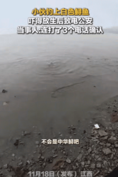 江西一小伙钓了一条大鱼，好不容易拉上岸，却吓得鱼竿都扔了！原来，这条白色的鲟鱼，
