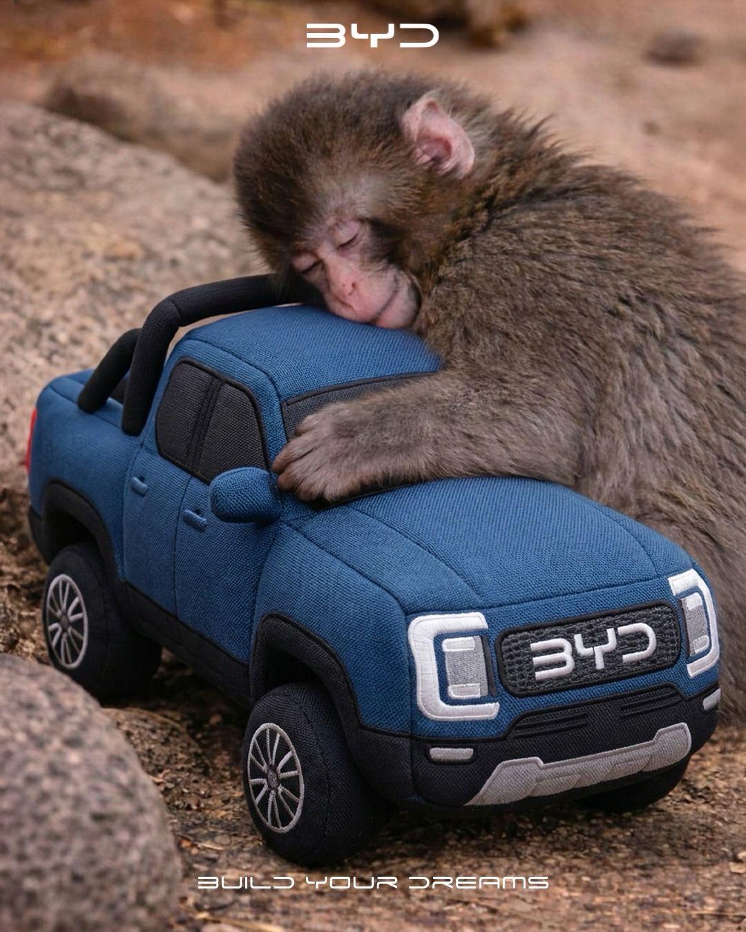 好可爱！！（尖叫