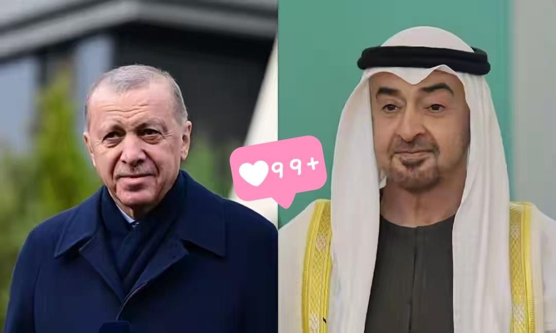 土耳其总统府新闻局发布消息了！当地时间1月5日，土耳其总统府新闻局发布消息称