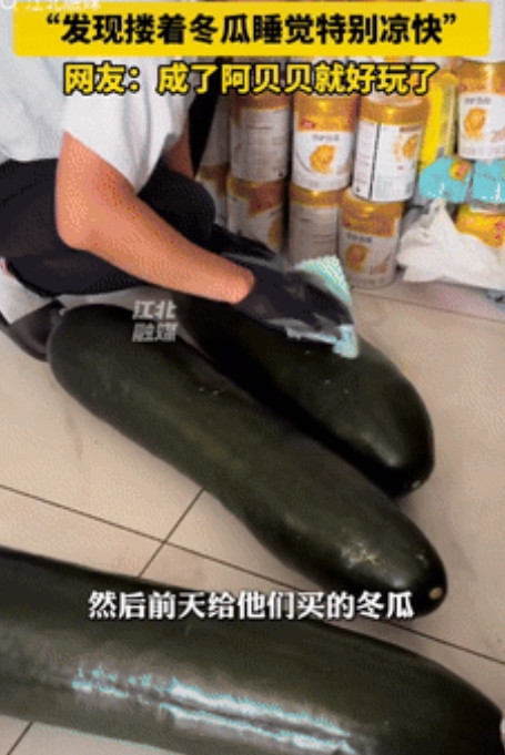 人怎么能这么聪明！”辽宁一男子花82元买了3个大冬瓜，给三胞胎儿子喂完奶后，睡前