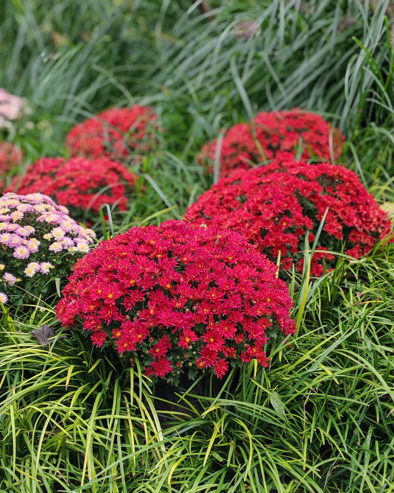 同样是女人，为什么有的女人不上班，不是旅游就是逛街，在家拥有绝对的话语权，老公体