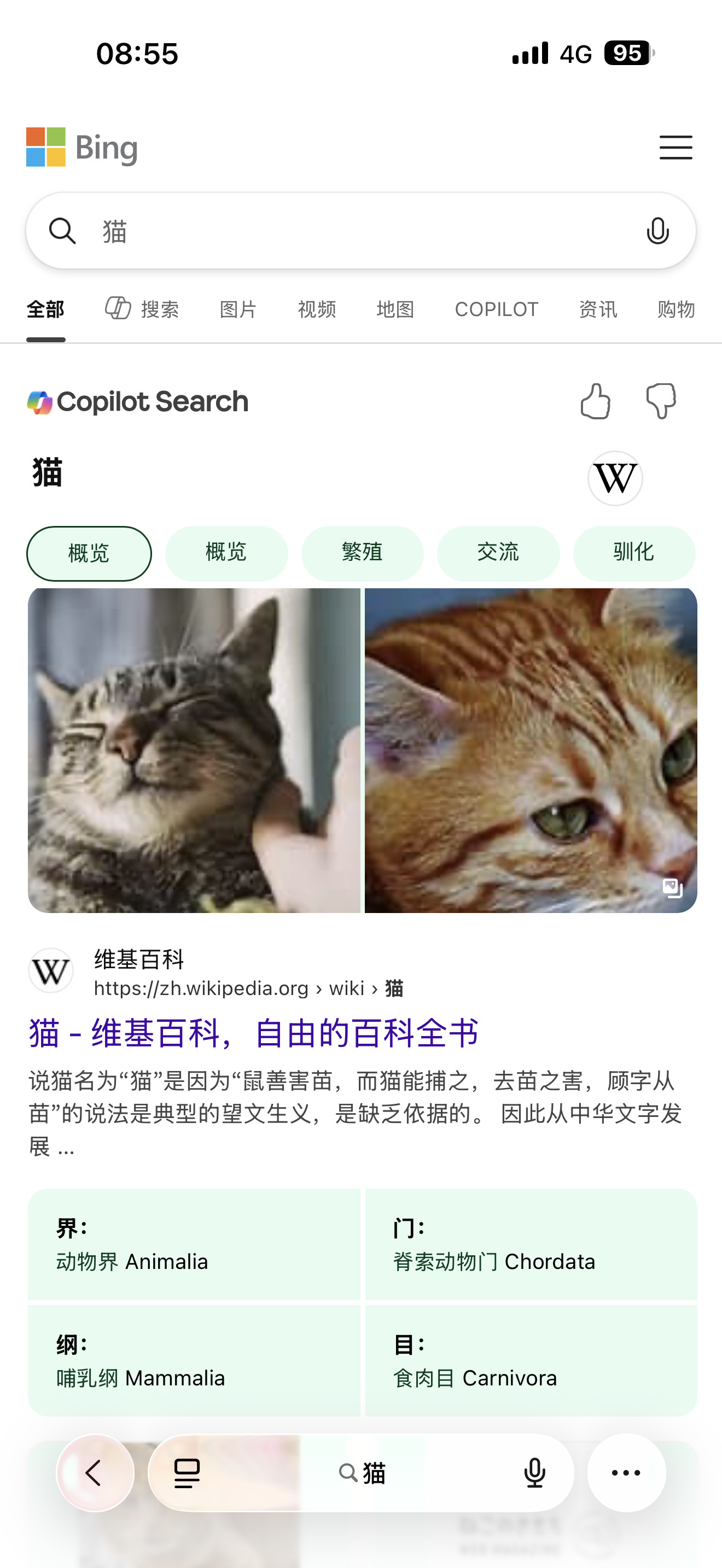 测了7个搜索引擎搜索“猫”，按顺序：必应、百度、搜狗、360、神马、Google