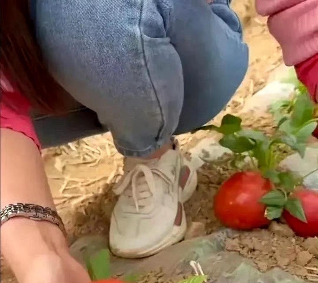 西红柿是这么长的吗？差点就信了。