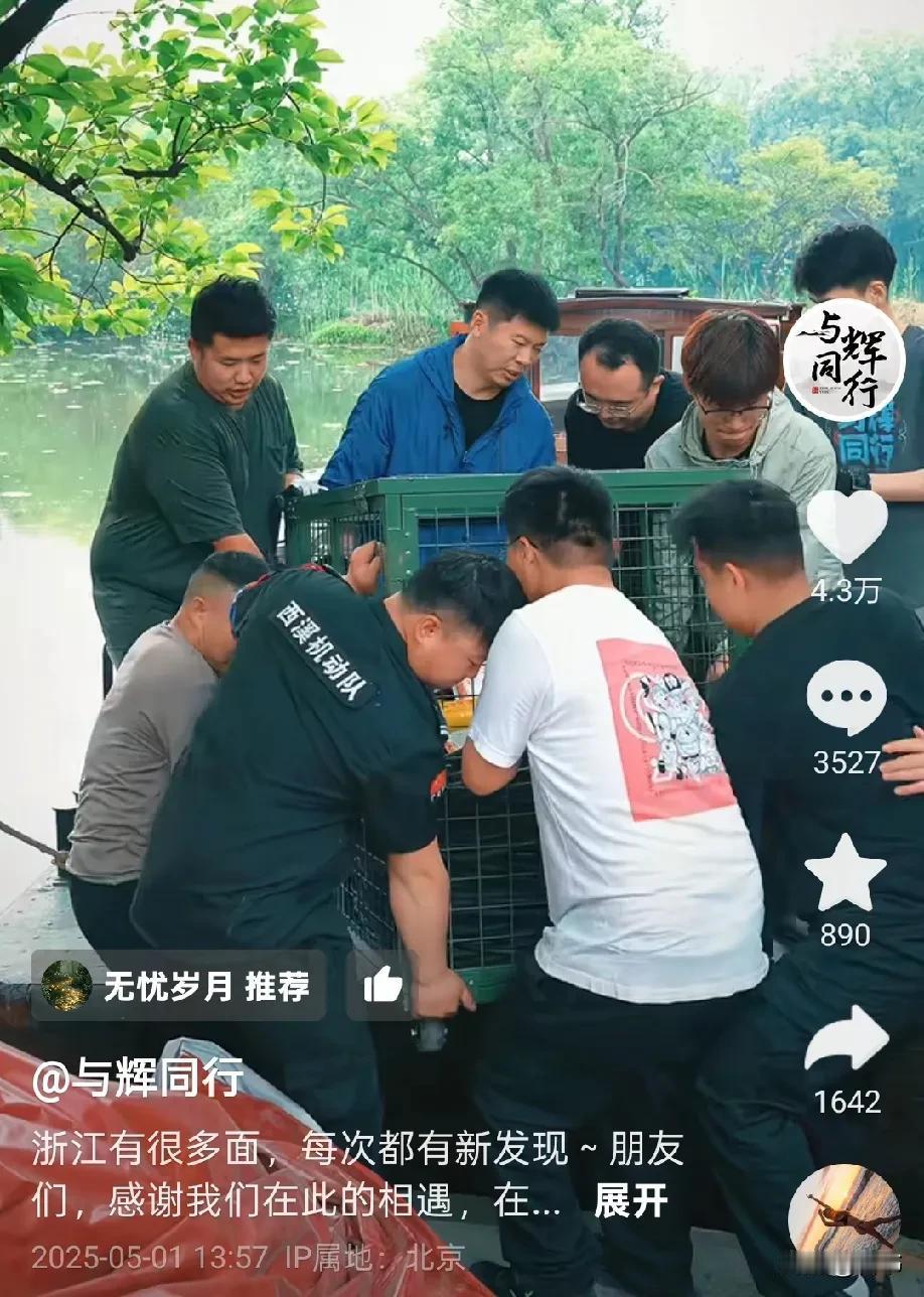 看与辉同行发布的花絮视频上百万的摄像设备专业的一丝不苟的工作人员多才多