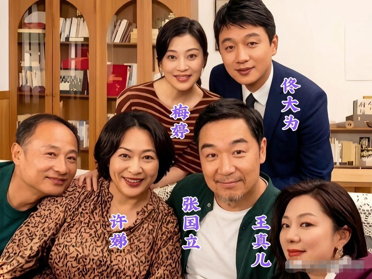 几位老戏骨都是有演技的演员，梅婷有《父母爱情》的经典电视剧，刻画的十分到位，佟大