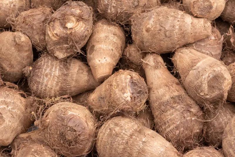 芋头这东西，以前我就觉得它好吃，软糯香甜的，常出现在糖水、蒸菜里。最近才知道，它