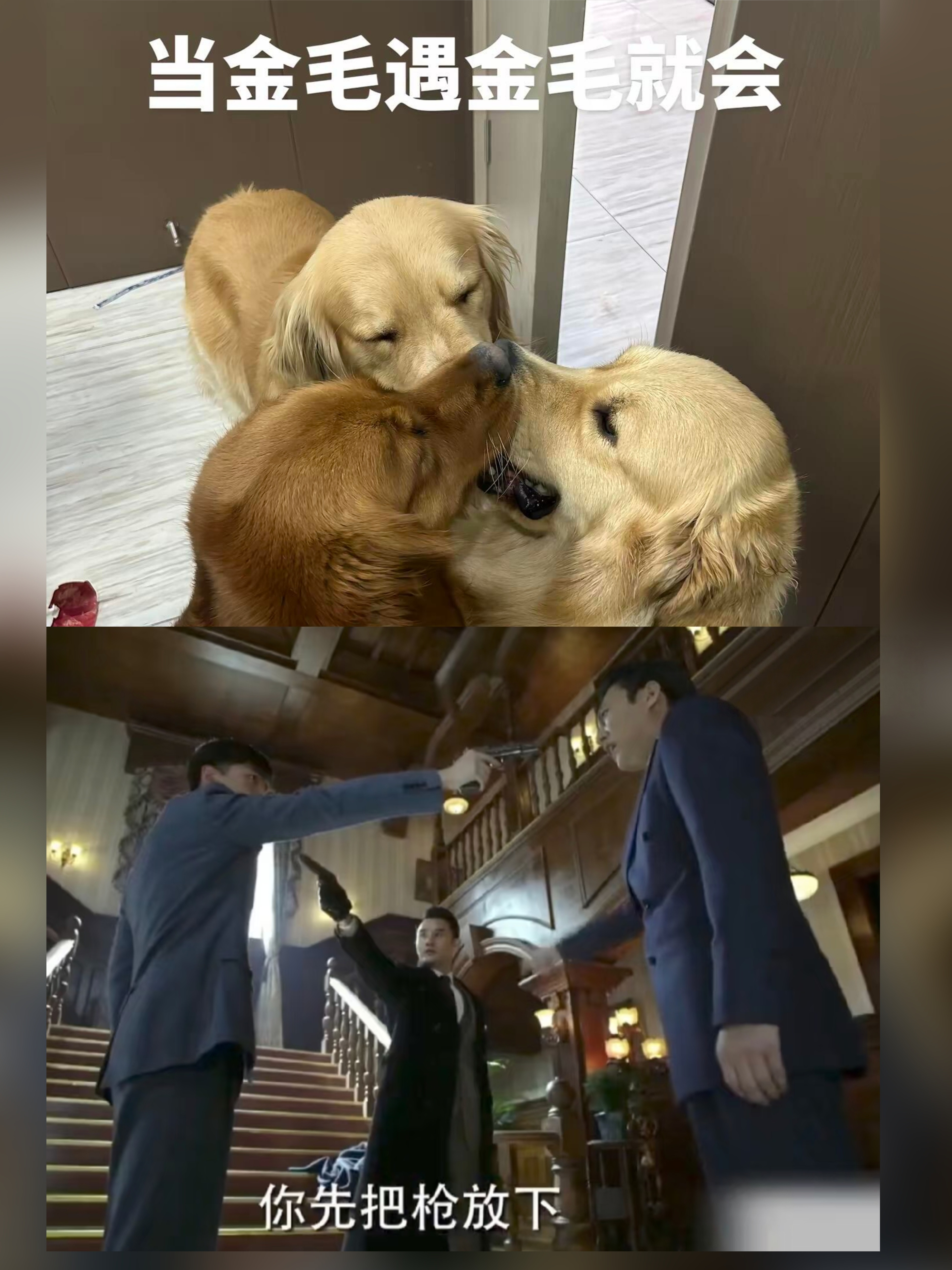 在📕看到两张图，笑死我了完全1比1复刻