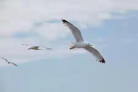 但，真正让人心碎的，并不是别人的轻视，而是你开始怀疑自己，甚至放弃了那颗曾经炽热