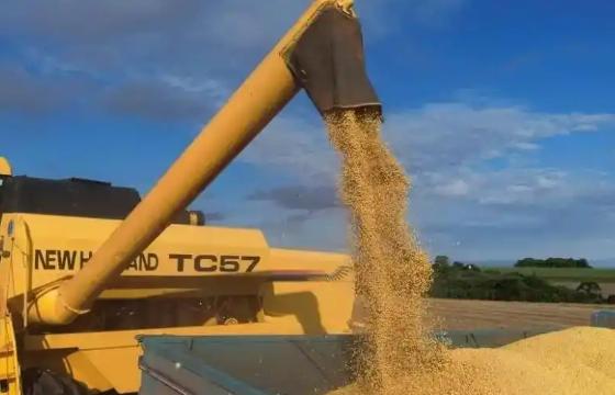 万一阿根廷、美国、巴西三国大豆全部涨价，中国怎么办？如果有一天，阿根廷、美国