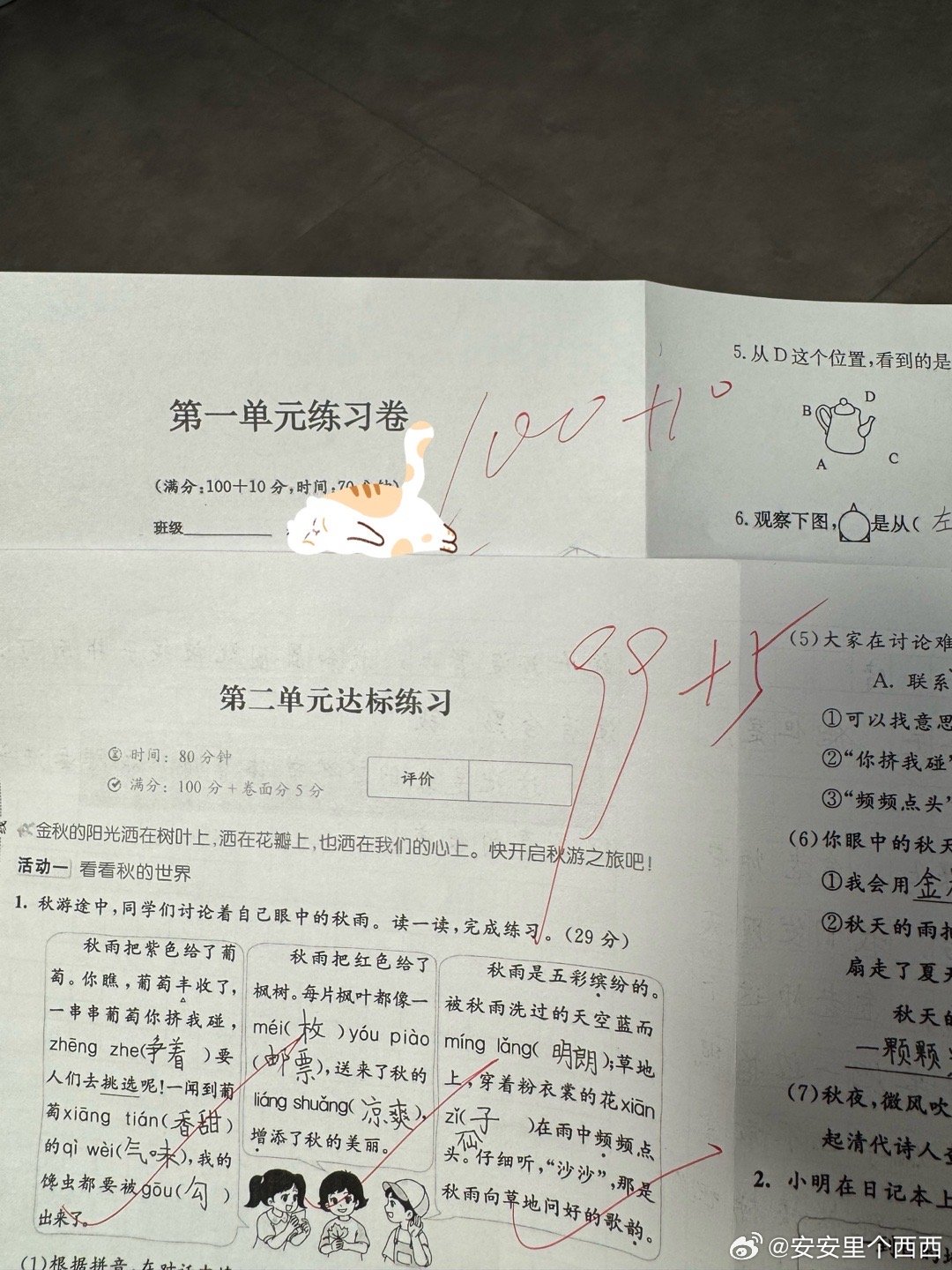 咱安姐真的好牛啊语文有作文的情况下还能考99而且卷面分也满分真的是我的偶像一样