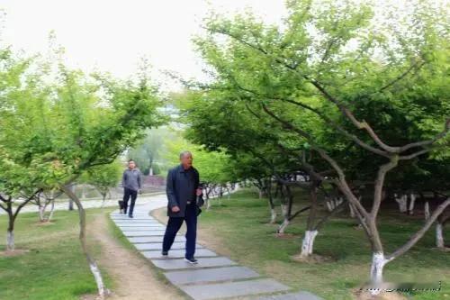 过了60岁，别再乱补了！做好这几件事，身体舒服少生病人一过60岁，身体机能