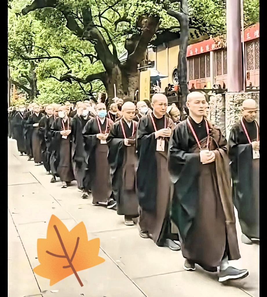 看到还有人在那抱怨，说好好的山好好的庙，凭啥不让进了？真以为是怕你踩坏了花花草草