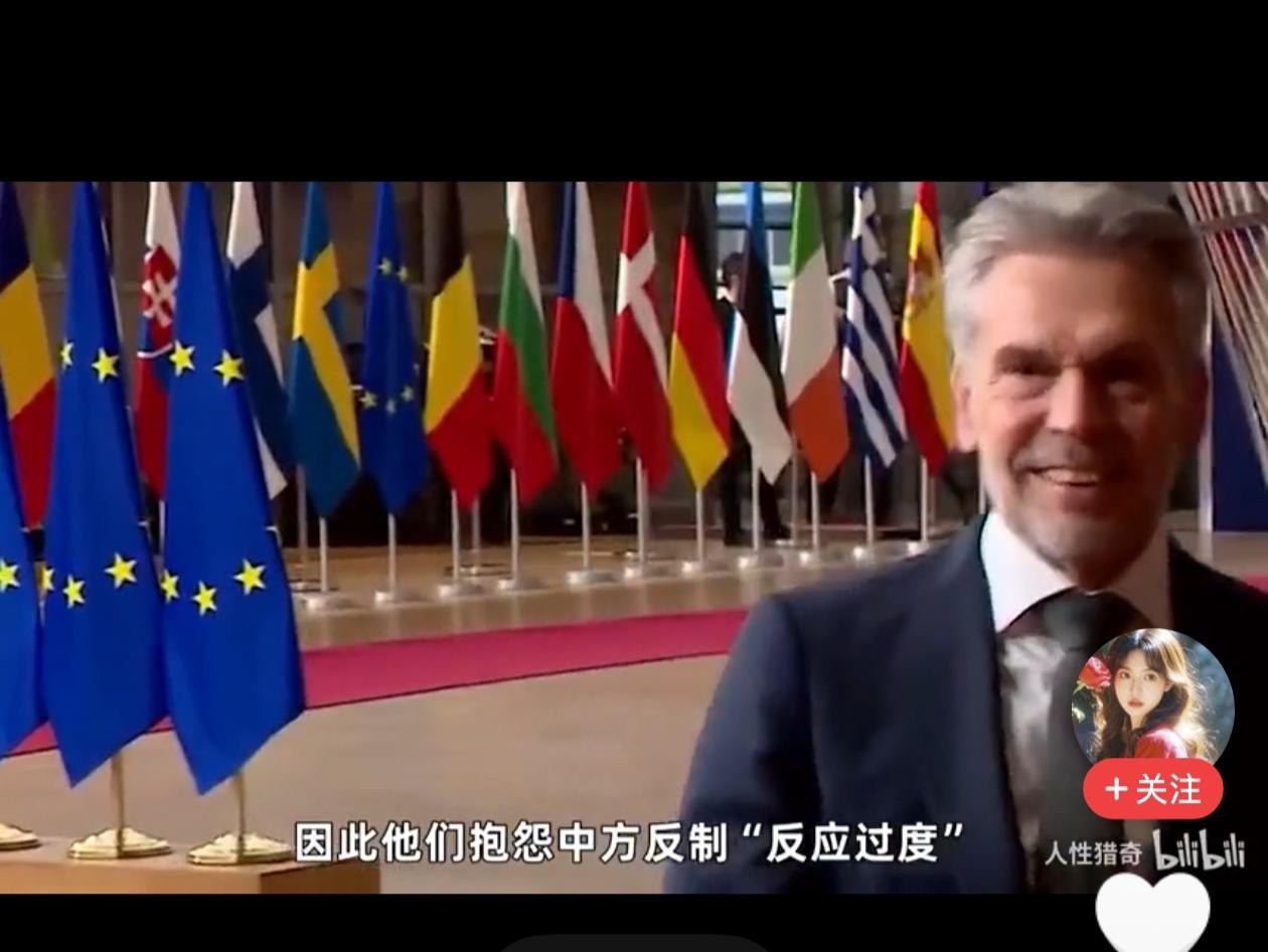 荷兰这个国家真是脸皮厚到了无法形容的步，他们的总统在抢夺了中国在荷兰的企业后。中