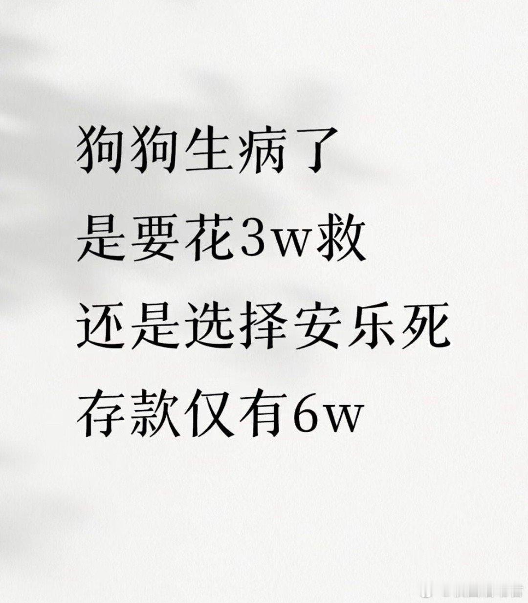狗狗生病了要花3w，救还是不救？