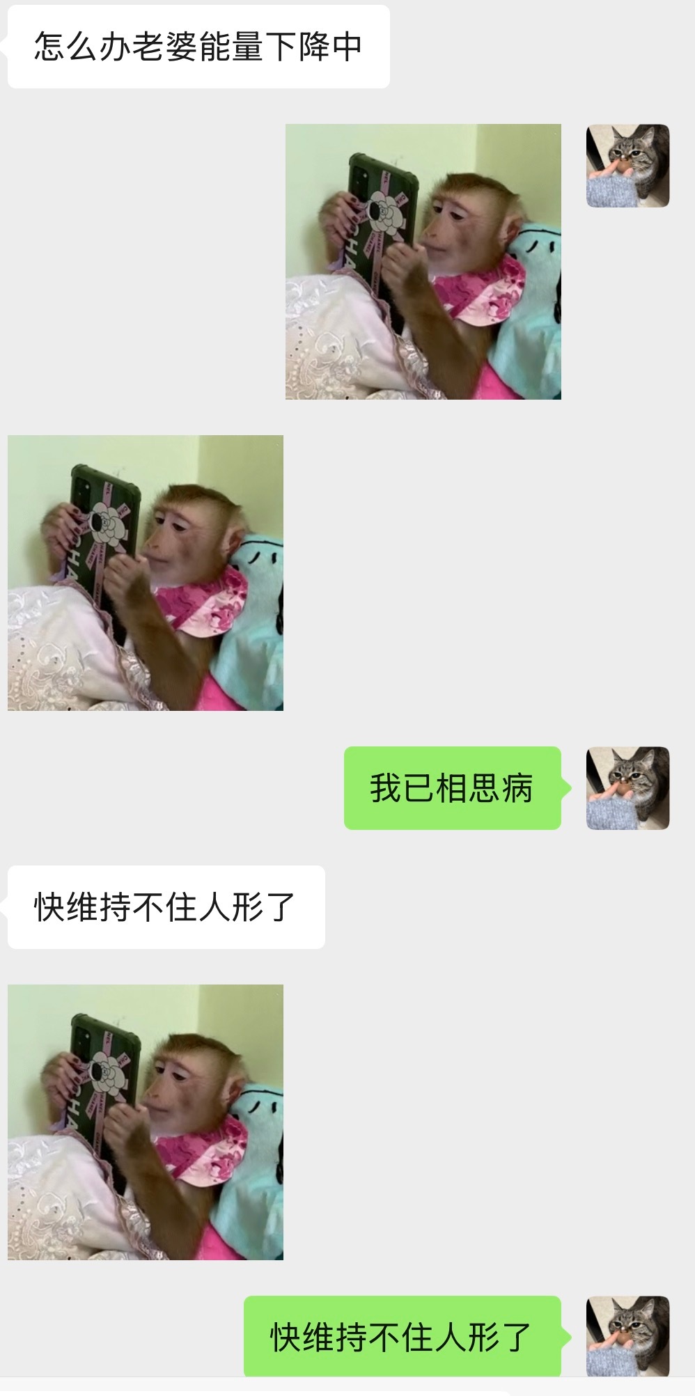 已无心维持人形