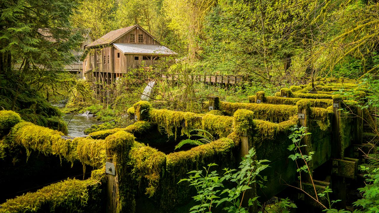 一位退休老人说：把孙辈带大后，老人最聪明的选择，不一定是留下来。很多老人都会
