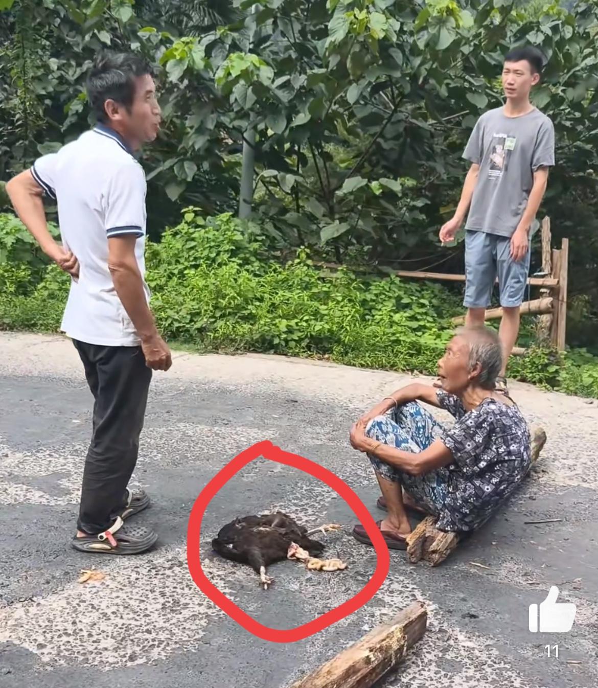 湖南怀化老太的鸡被车压死了，肇事车辆跑了，老太气愤把路给堵了。前后的车辆都动弹不