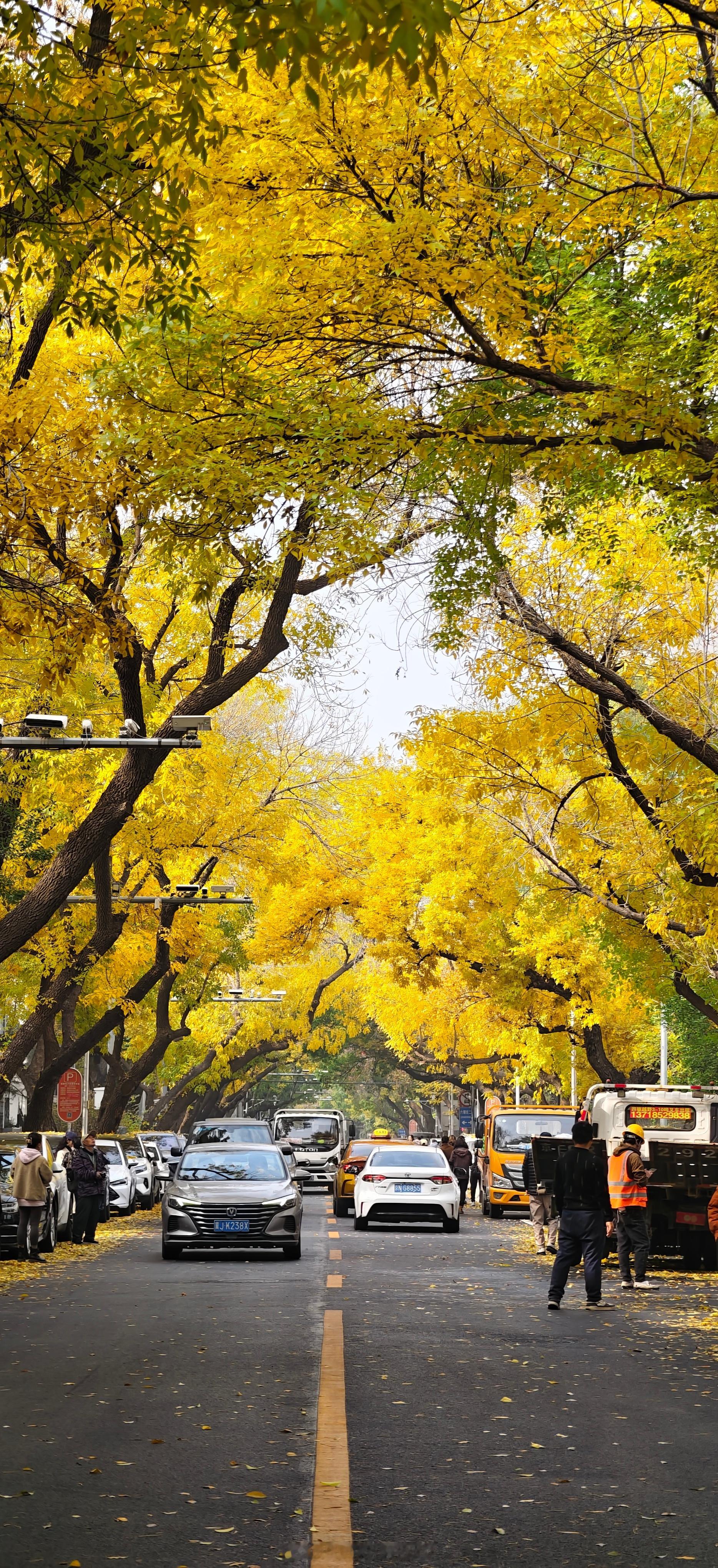 10.30北京的秋天杀疯了！！！拍摄于六铺炕街及其附近摄影北京秋意满阶北京秋景