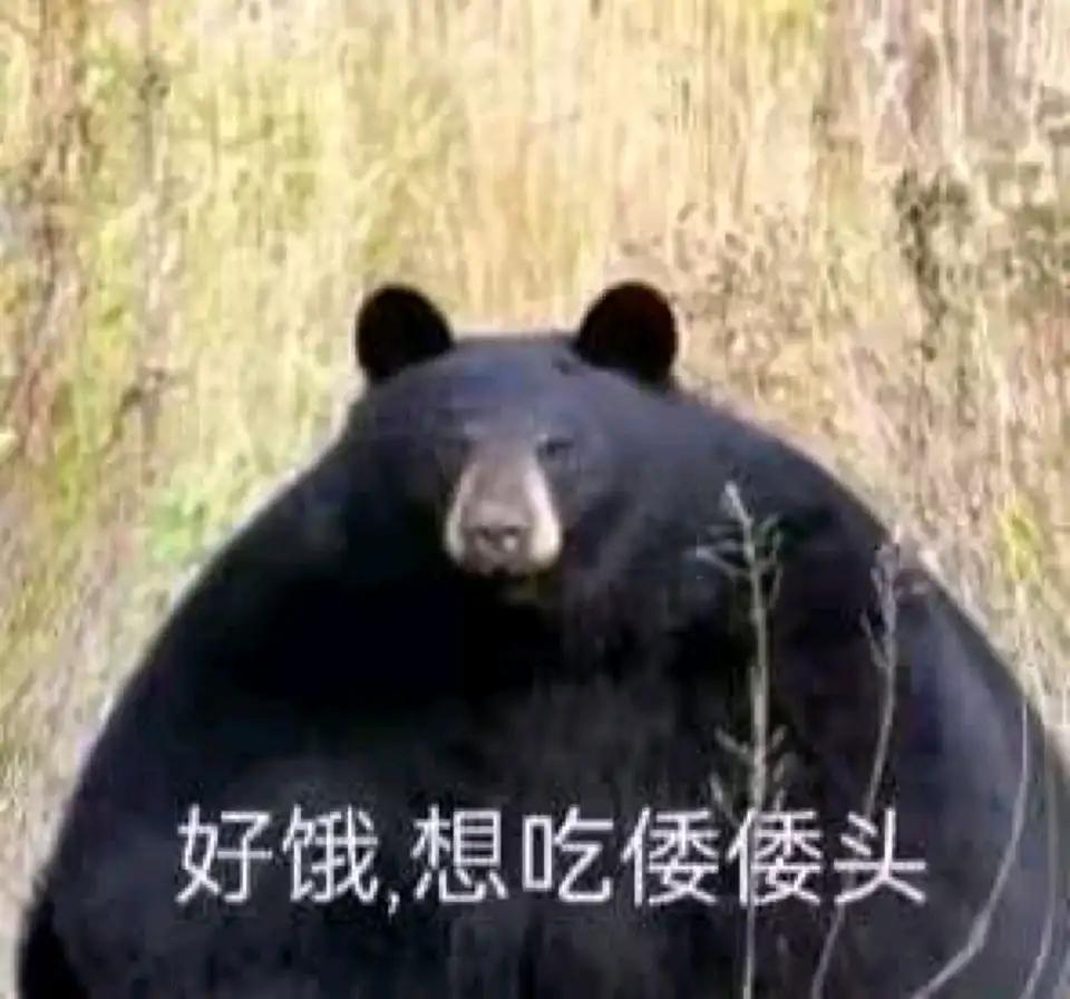 小日子已经魔怔了签了个这玩意靠中国转移矛盾呢，相当于每个日本人给美国4000美