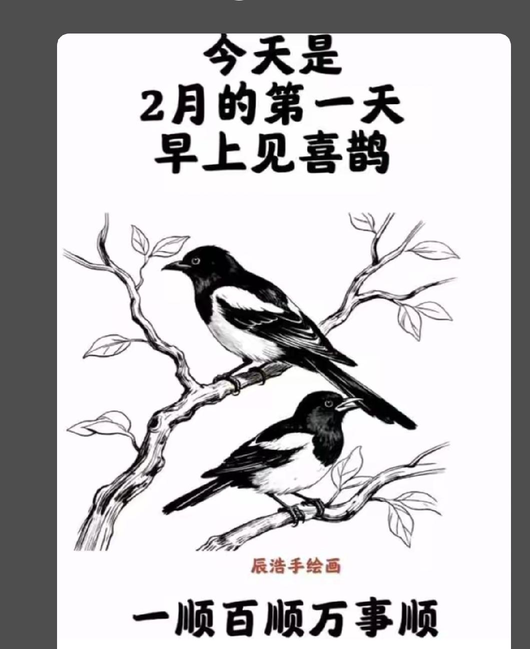 今年冬天的不同抬头见喜，一顺百顺万事顺。我看到喜鹊了，好兆头。愿我喜