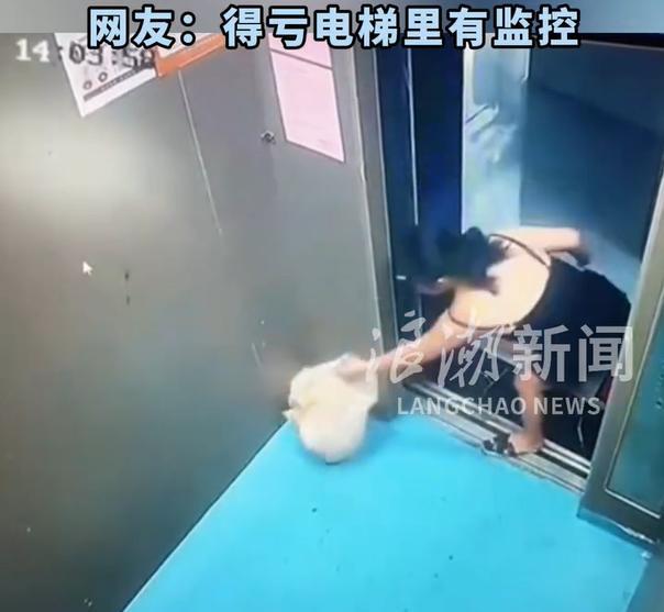 “现在人的素质，真是无药可救”。山东一名年轻女子，简直懒惰到极点。生活垃圾都懒得