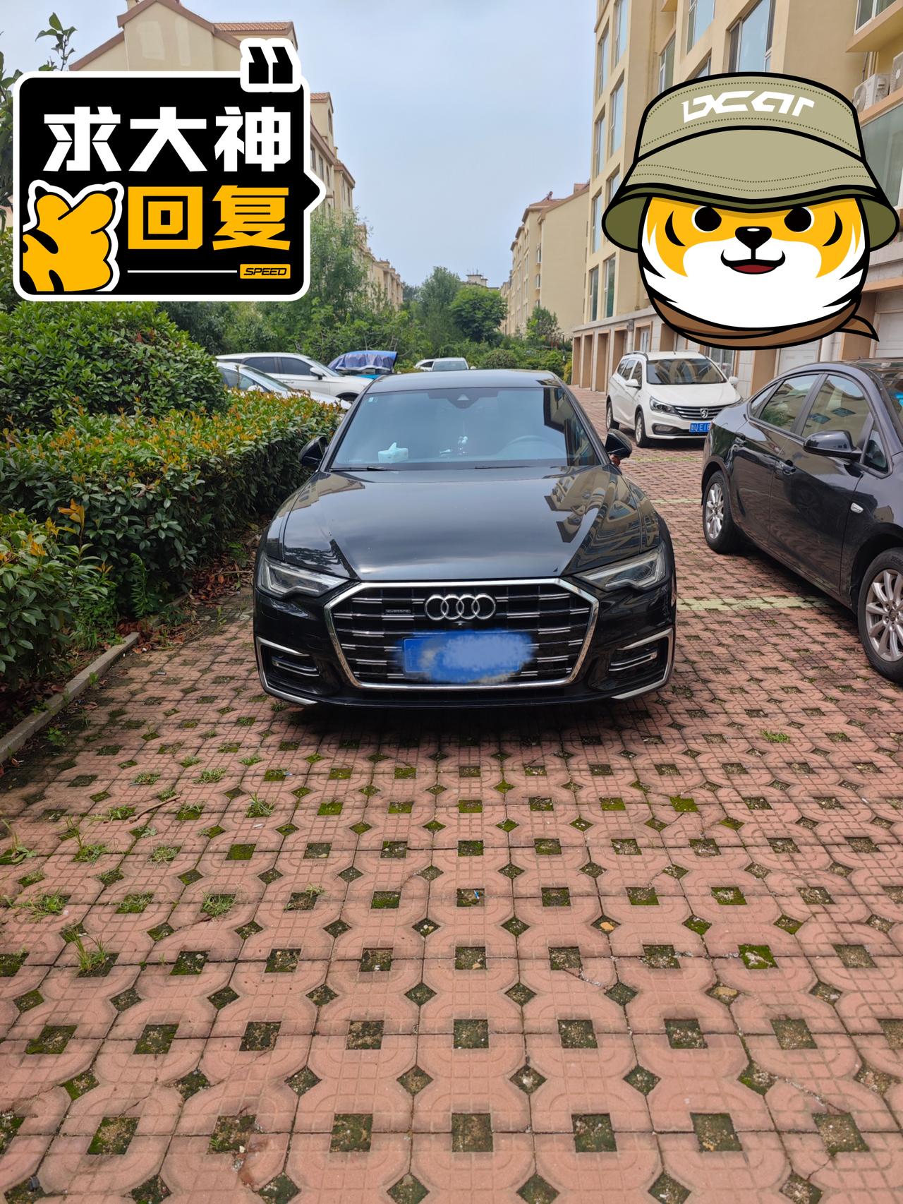 我的大六子是在去年12月份提的车，那时候正流行高息高反，各个车企和4S店都在努力