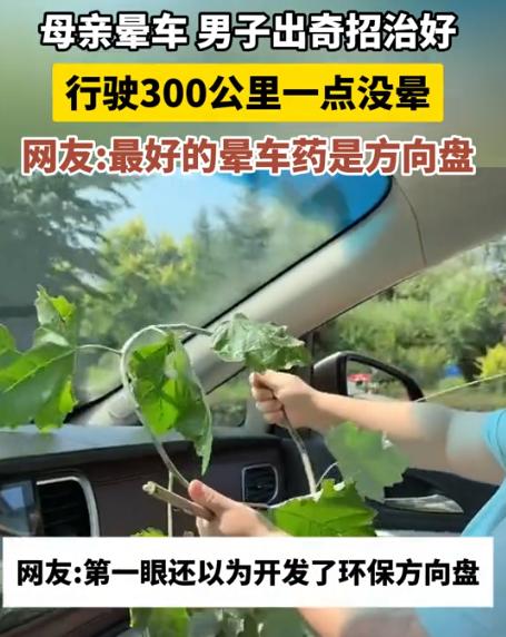 “人怎么能这么聪明！”浙江，一男子的母亲晕车严重，为了让母亲舒服，男子找了一个树