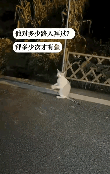 泪目了！这天夜里一位小姐姐去夜跑，当她跑到公园的一条小路上的时候，看到了令人伤感