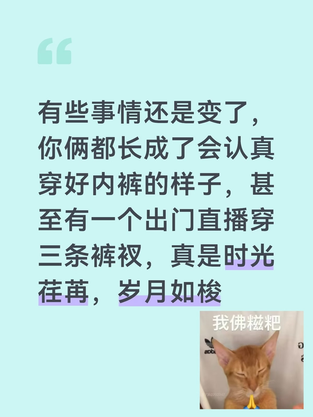 米你们还是太有梗了我本来想把图二当文案的想了想有点不好意思
