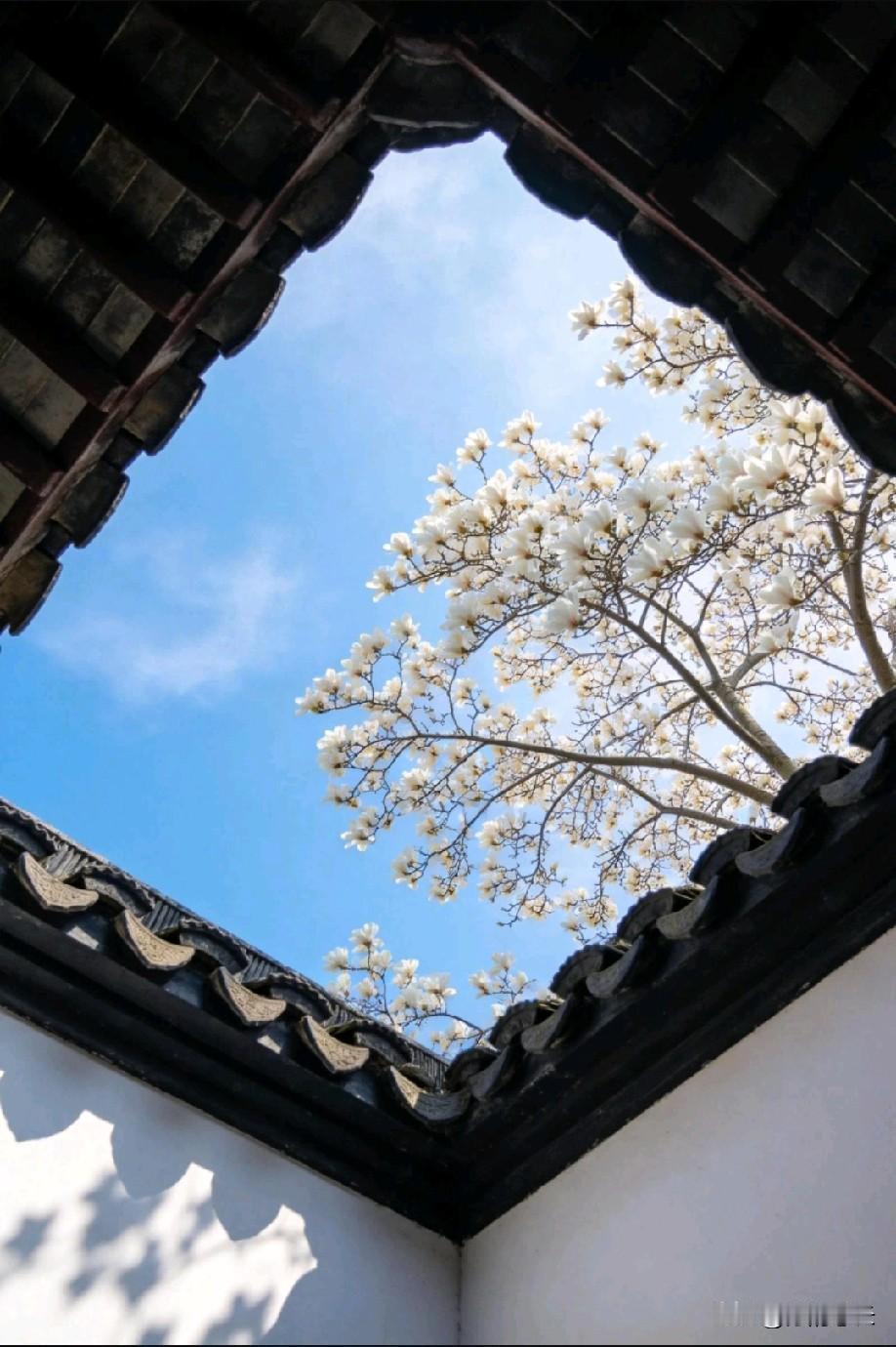 上了高中你才会发现：所谓的“快乐教育”，对普通家庭而言就是最大的陷阱。表面上，