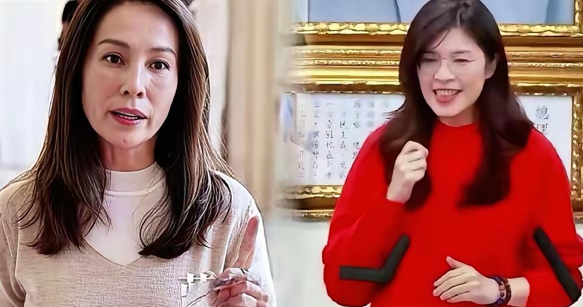 司法动态变幻莫测，郑丽文迟迟没有公开支持高金素梅，背后有现实考量。高金素梅遭