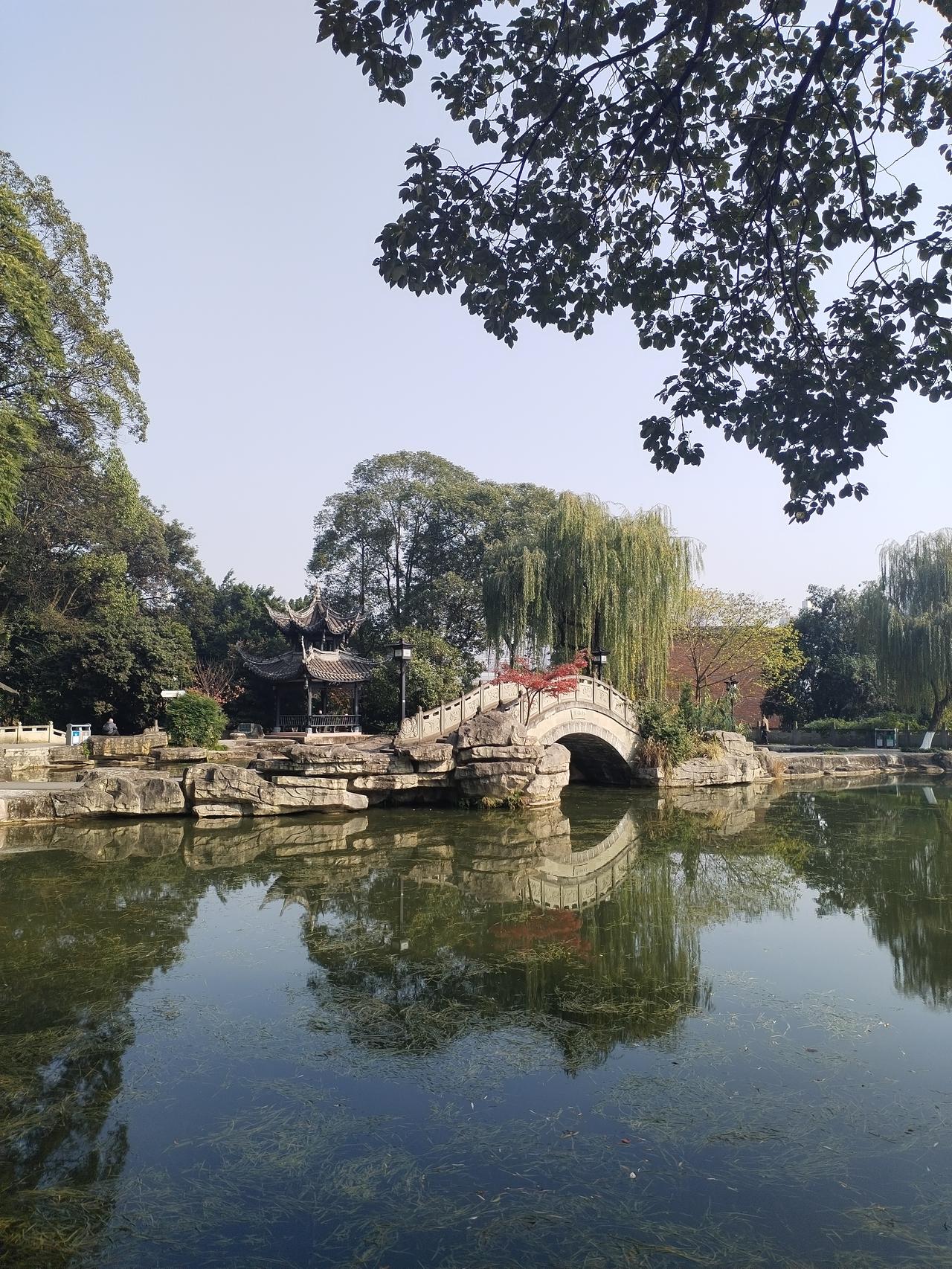 虽然绵阳已进入初冬，但今天是大太阳，照在身上暖洋洋的。下午的温度17度，不冷不热