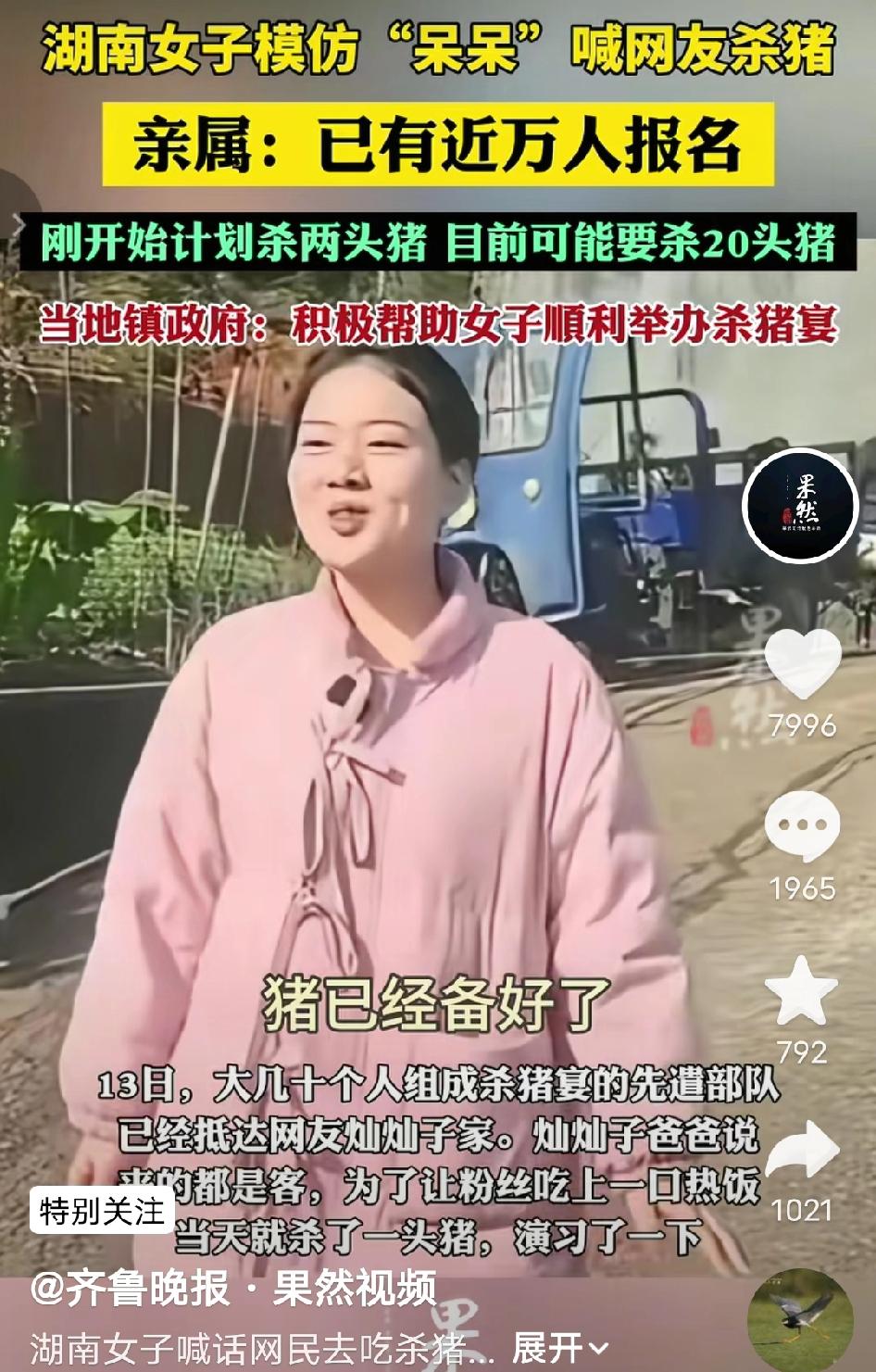 万万没想到!只是想模仿“呆呆”拍个杀猪宴视频热闹一下，结果近万人疯抢报名，杀2头