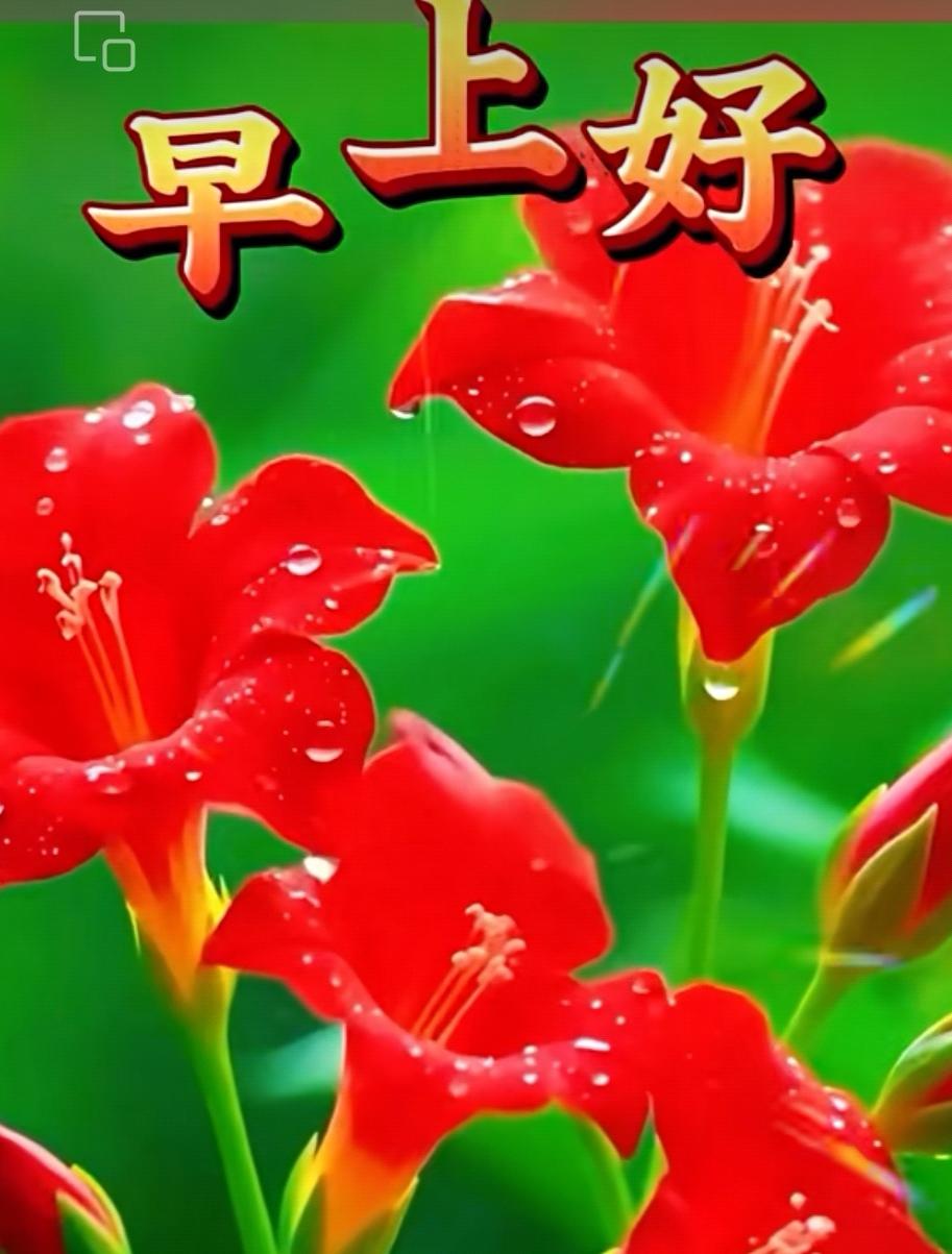 祝願你每天：與微笑重逢，與快樂結伴，與吉祥牽手，與健康同行。早上好！[