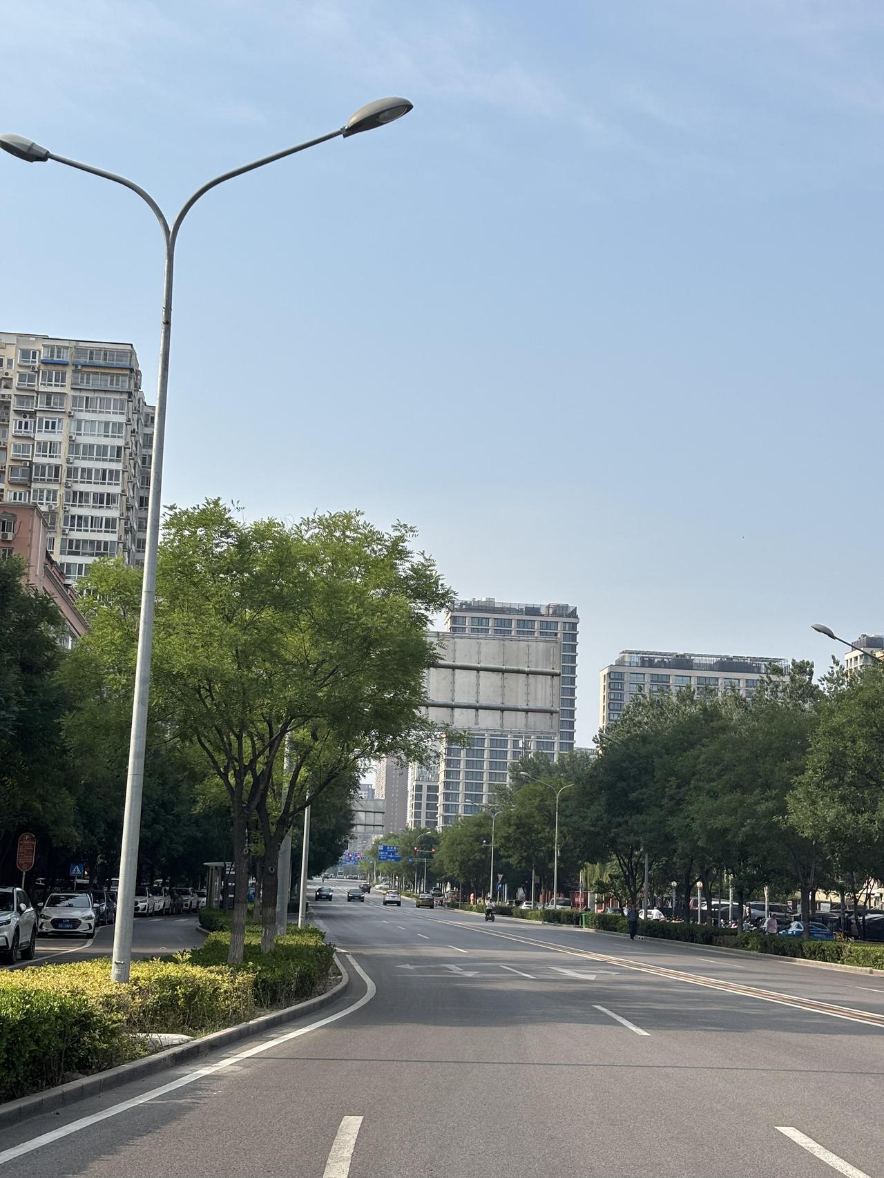 职场里真正干活的人，根本没有领导愿意提拔不是说领导不愿意提拔干活的人，是领导