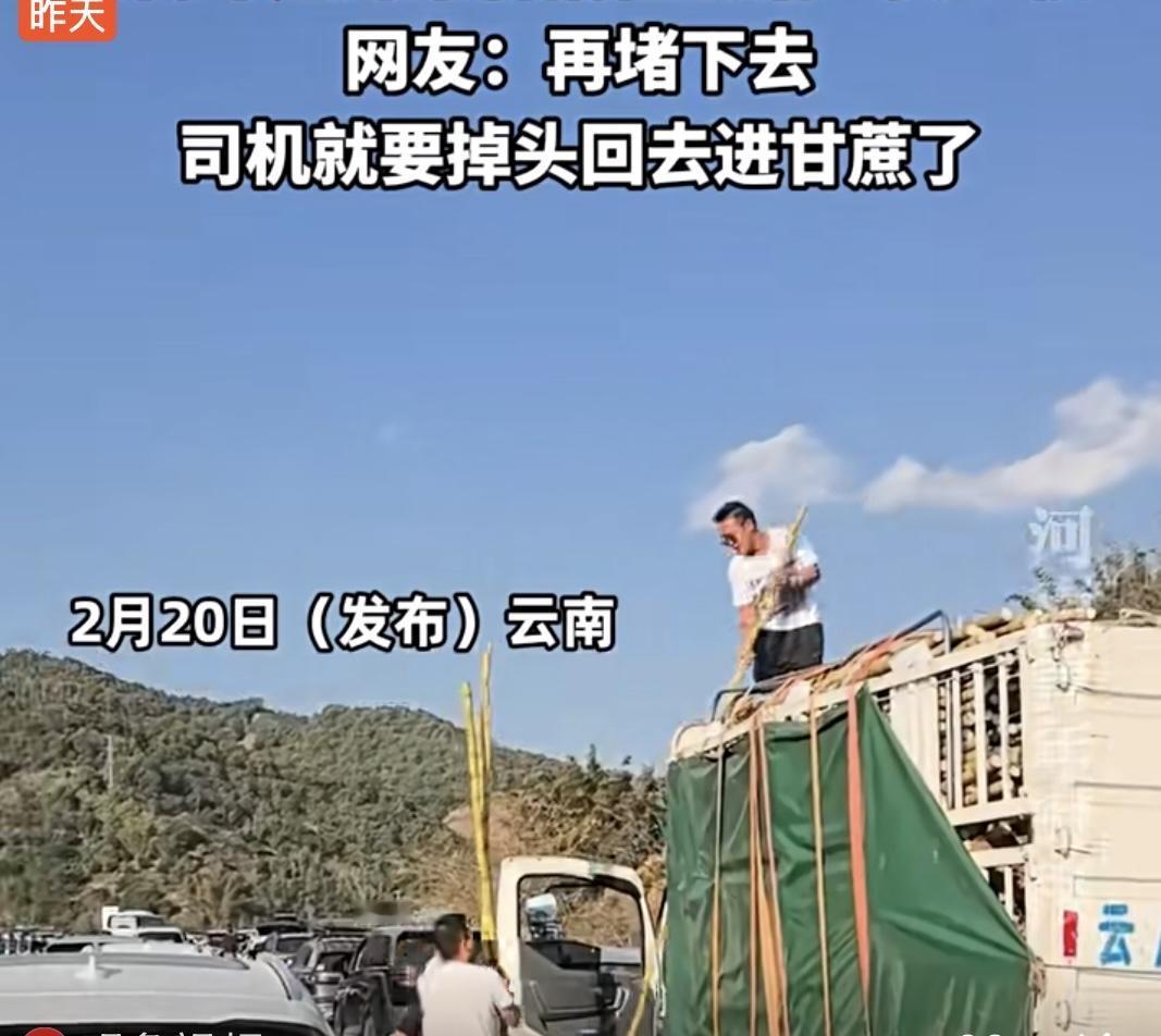 近日，云南一高速路段出现拥堵，车上乘客灵机一动，建议司机就地售卖甘蔗。没想到对向