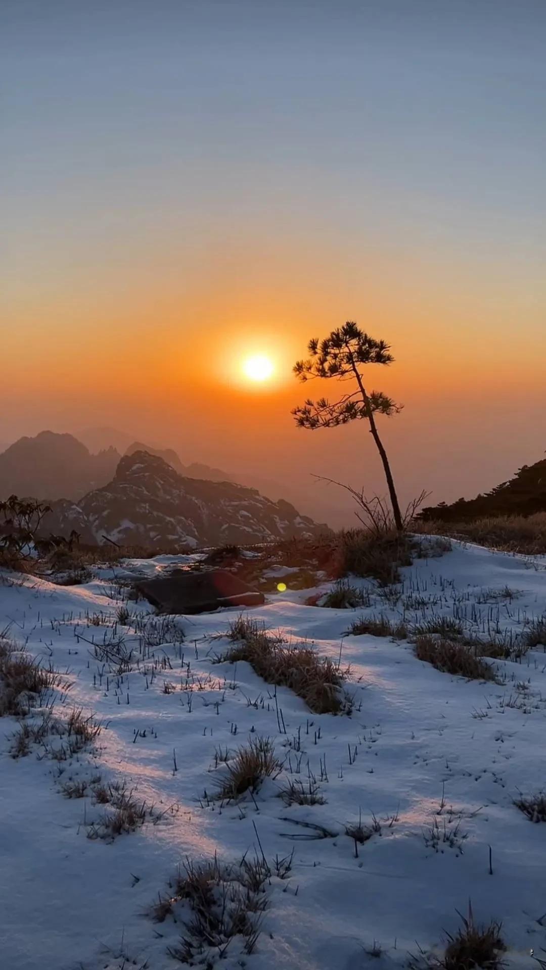 雪后初晴的黄山，那景色真的绝了。说的就是这两天黄山的景色。山峰被雪覆盖，像一