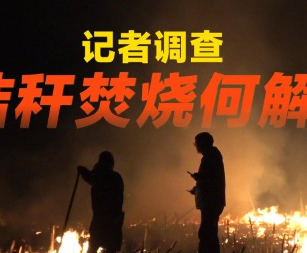 央视调查：烧秸秆屡禁不止，真怪农民吗？田间火光不断，禁烧标语随处可见，可焚