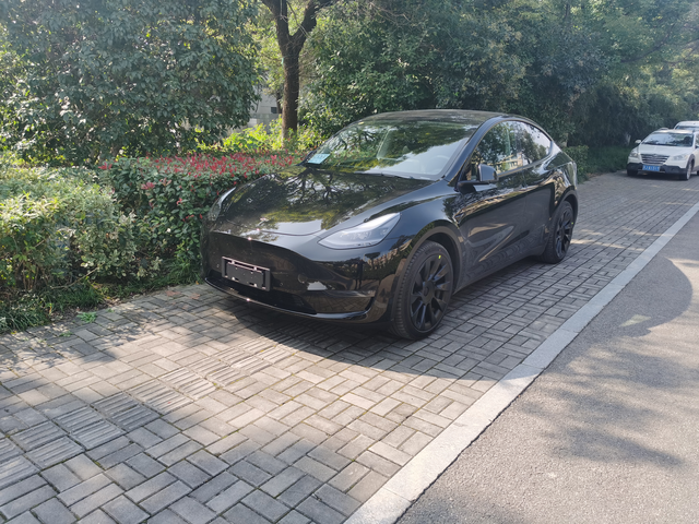 提车一个月感受优点大于缺点吧优点：1.省钱；2.续航还算比较靠谱；3.