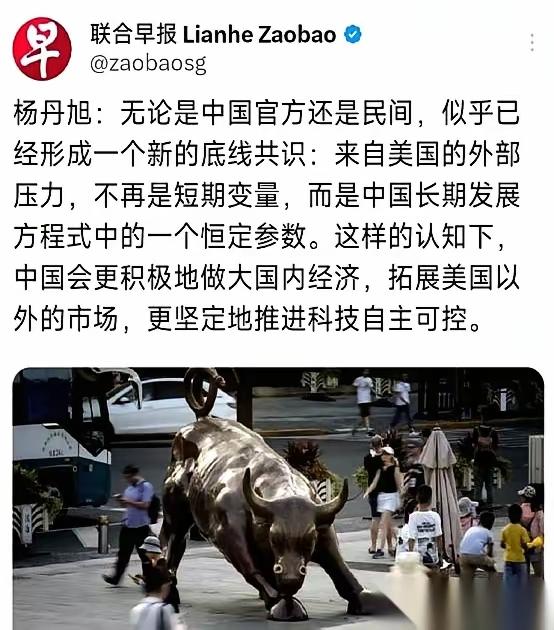 有时候不得不佩服人家新加坡媒体，一句话就把事儿给点透了。他们说，中国现在上上下