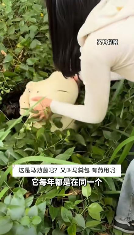 “这都是命啊！”黑龙江齐齐哈尔市，一女子在路边玩的时候，发现有颗重量高达8斤多的