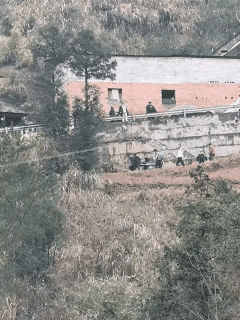 湖南这六个年轻的消防战士，在新春佳节里，为了保护人民群众的生命财产安全，不幸遇难