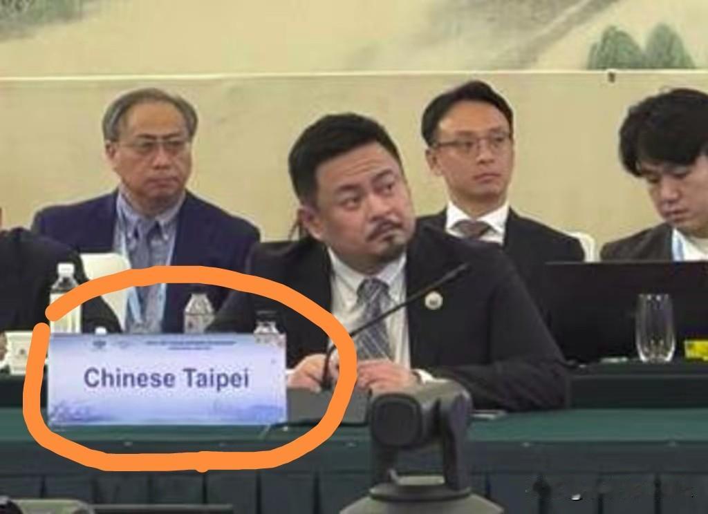 “青鸟”被打脸！大陆的APEC分组会议，赖清德当局指派的民进党官员，即台湾省