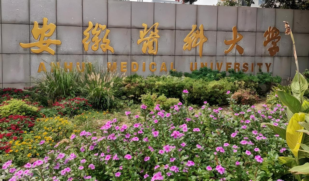 不想租门面投大钱？肥西老乡抓安医大红利，这几个轻资产项目，几千块就能干！咱