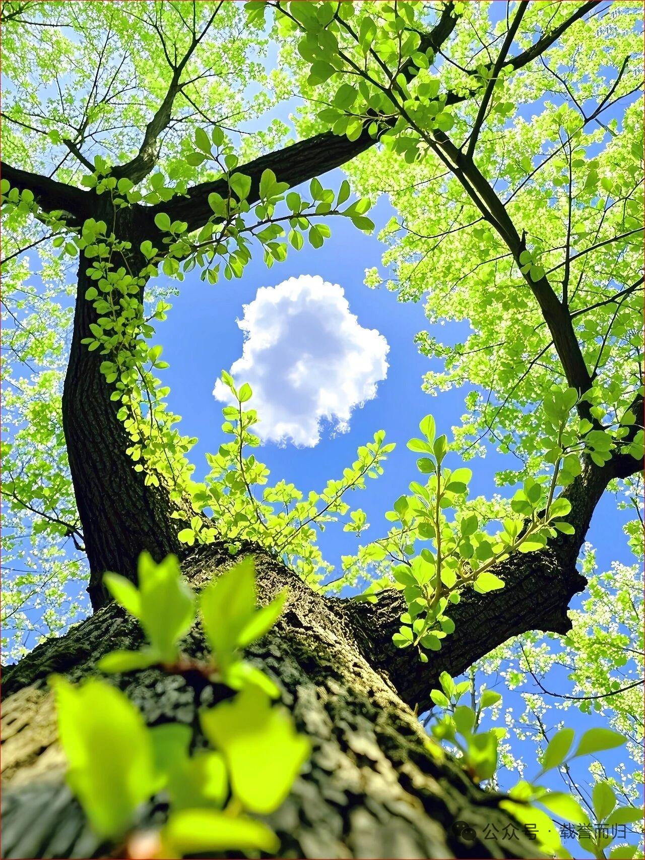 天蝎座如果跟一个很在乎的人发消息，如果对方一直不回复天蝎，天蝎会把那个对话框