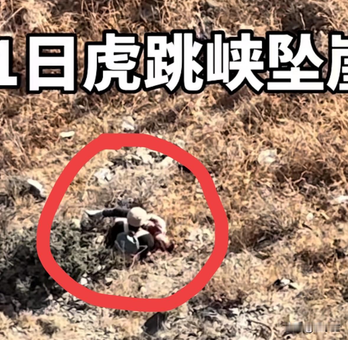 虎跳峡坠崖男童摔下去以后，他的奶奶紧接着就下去查看情况了。可由于缺乏常识，她竟用