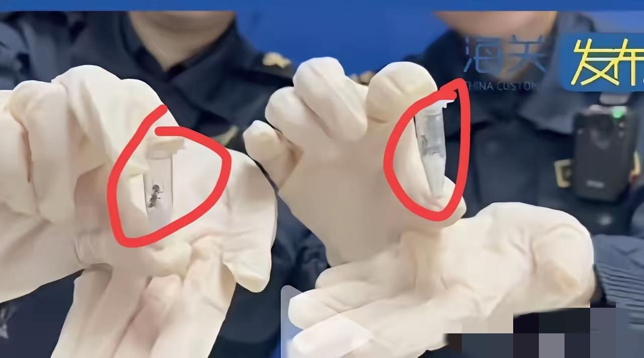 细思极恐！4月13日，长沙邮局海关检查一件申报为“枕头”的进境邮件，在X光机下显